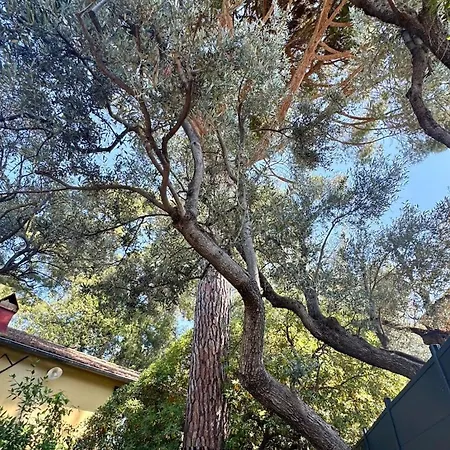 Annexe Indépendante Avec Jolie Vue Hébergement de vacances *